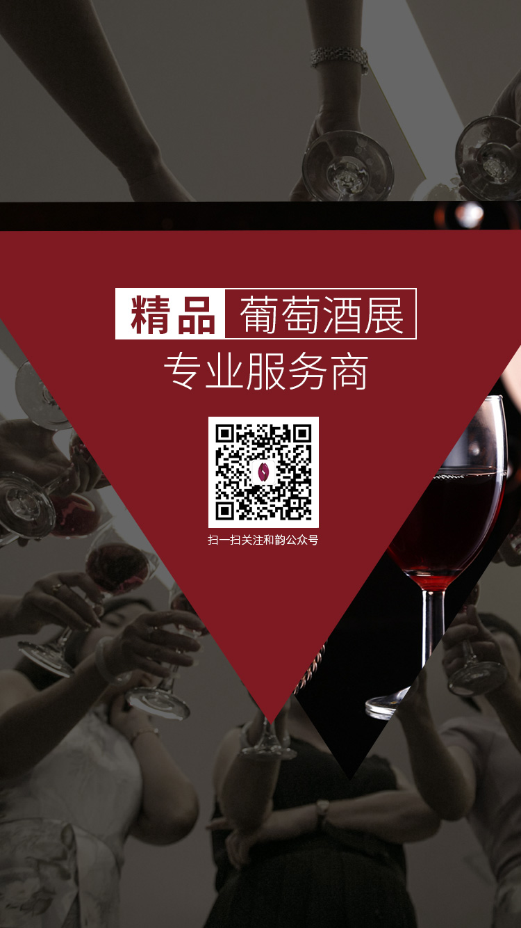 超20人的资深策划顾问